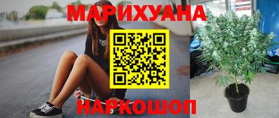 mdpv Лесосибирск